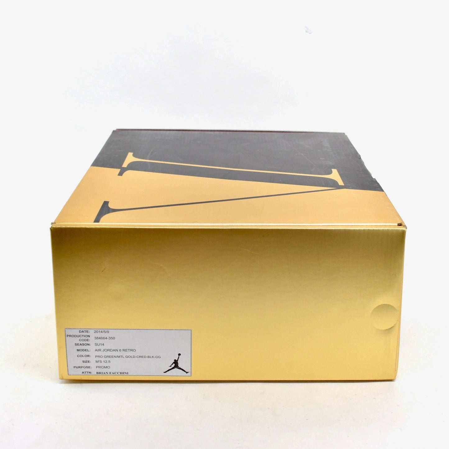 Nike Air Jordan 6 VI Champagne Promo Sample NEW Size 12.5