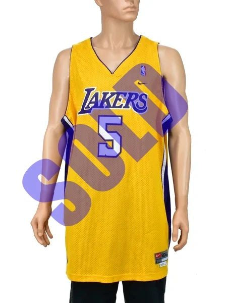 Los Angeles Lakers Robert Horry Nike Swingman Jersey